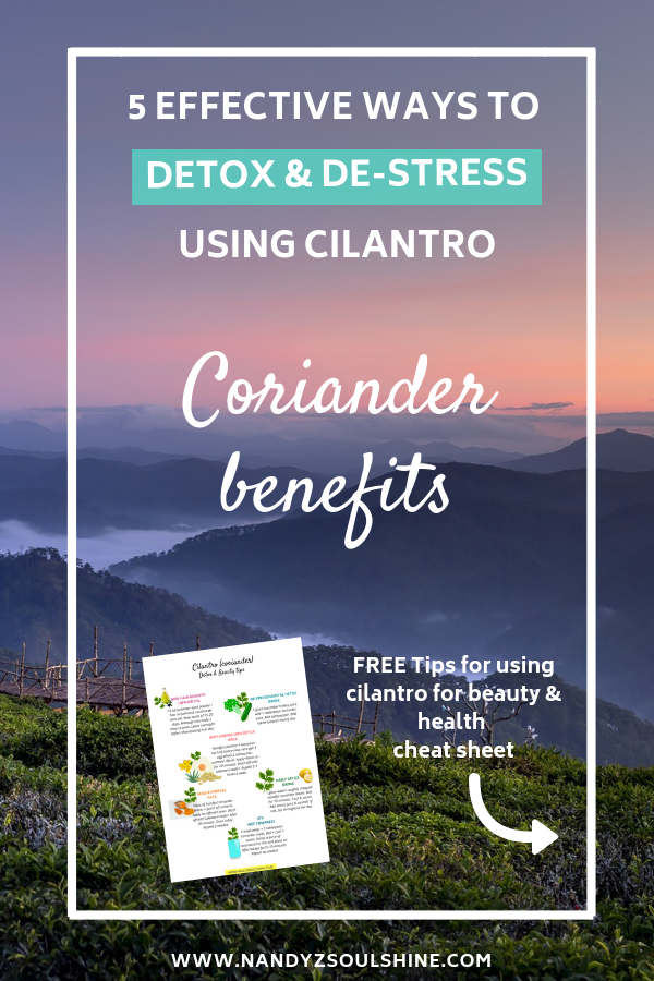 Coriander Benefits 5 Ways To De Stress And Detox Absolutely